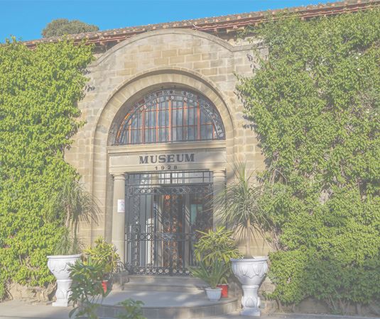 Foreigners (museum and sites visit) 