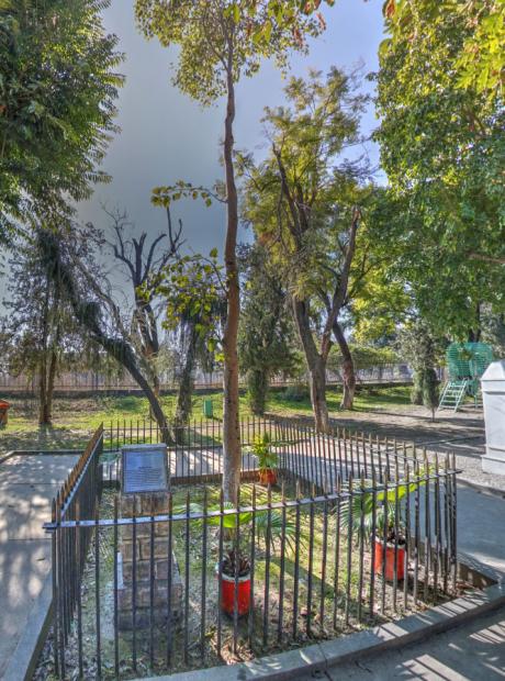 <h4>Bodhi Tree</h4>  <p>This BO sapling is a lineal descendant of actual BO Tree at Bodh Gaya under which Lord Buddha attained enlightenment. A shoot of this sacred tree was brought to Ceylon at the end of the 1st century BCE by Singhamitta, the daughter of Emperor Asoka, and planted at Anuradha pura. One of its shoots was gifted by the Ceylonese Prime Minister to Field Marshal Muhammad Ayub Khan, the President of Pakistan, during his state visit to Ceylon in December, 1963.</p>